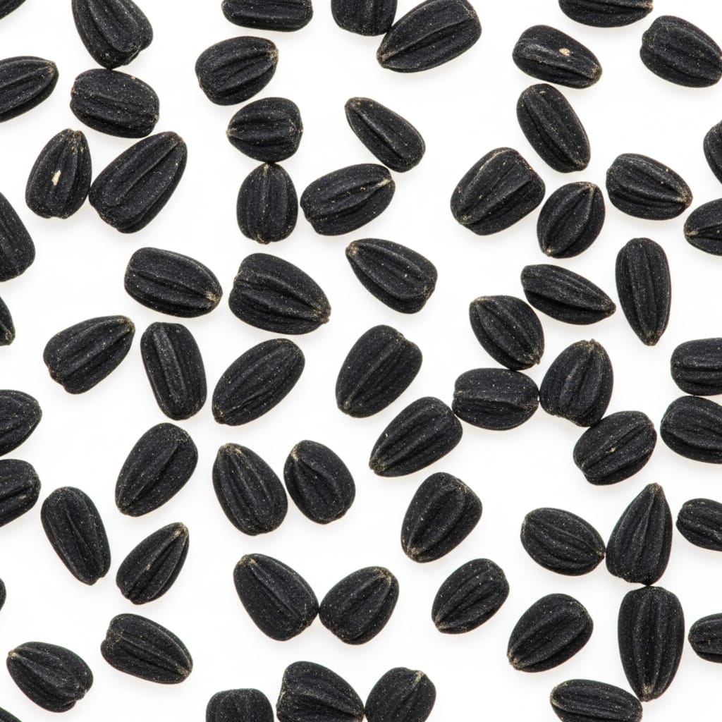 Nigella Seeds (Kalonji) 2