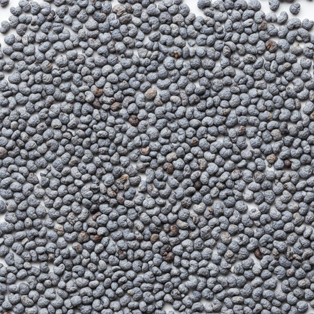 Poppy Seeds 2